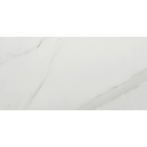 Romana Lola Gloss Ceramic Wall 250 x 500mm PK/13