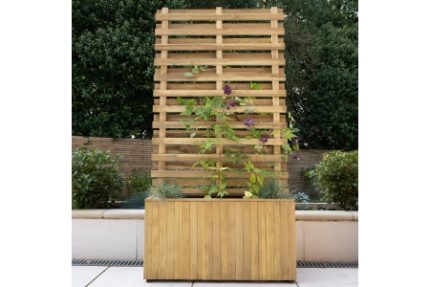 Living Screen Planter Home Delivery