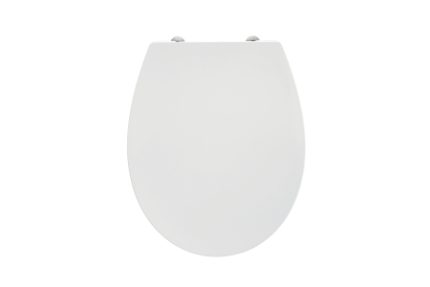 Sandringham 21 Standard Seat and Cover Plastic Hinges E131601