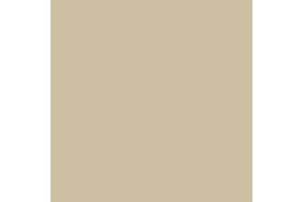 Dulux Trade Vinyl Matt 5L Dune Grass