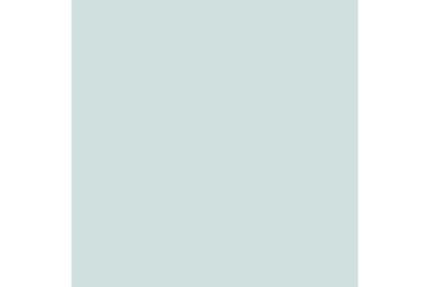 Dulux Trade Vinyl Matt 5L Peppermint Candy